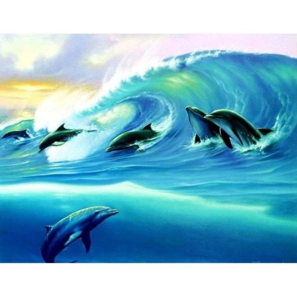 Картины Джим Уоррен Дельфин