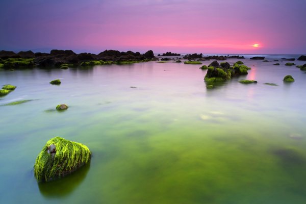 Красивое зеленое море