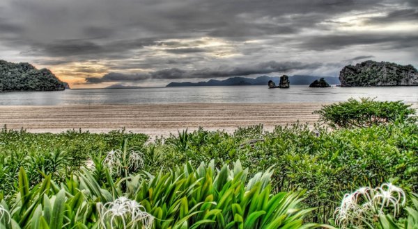 Море зелень