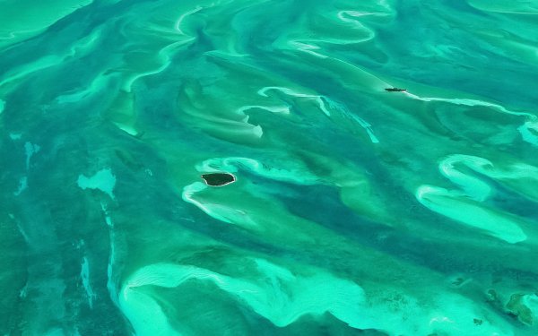 Зеленое море