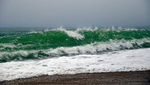 Зеленая волна