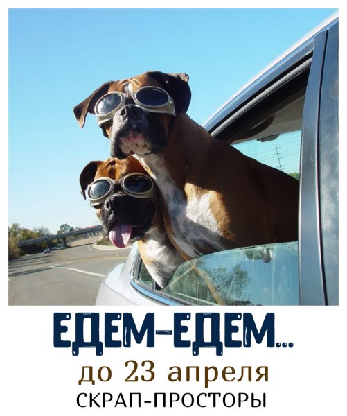 Мотиваторы позитивные смешные