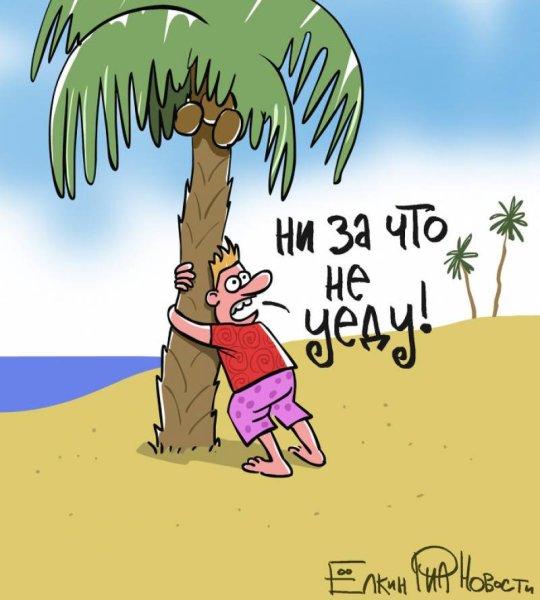 Приколы про море и отпуск