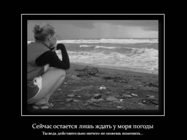 Слон на скамейке у моря