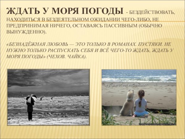 Картины Евгении гапчинской море