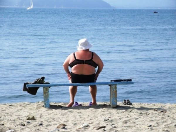 Собака загорает на пляже