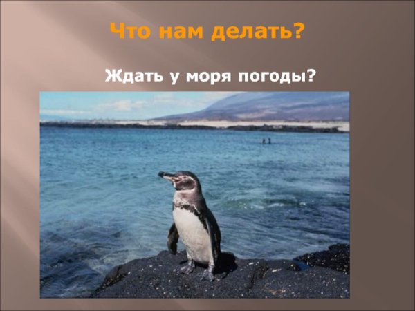 Старик и море