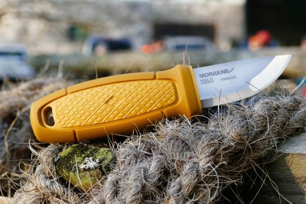 Мора компаньон