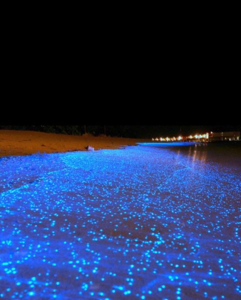 Когда фосфорится море в крыму. Когда фосфорится море в крыму