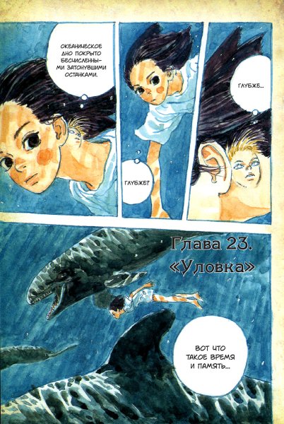 Волна из книг