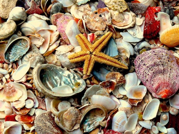 Морской фон