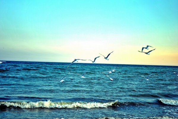 «Бегущая по волнам» Виллема хаенрайтса