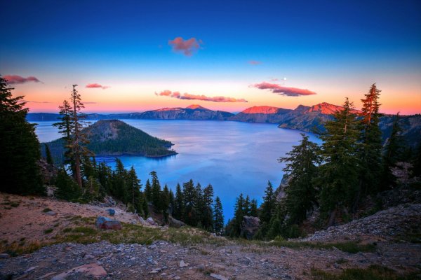 Пейзаж море лес