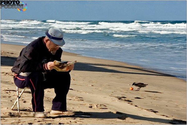 Старик и море старик