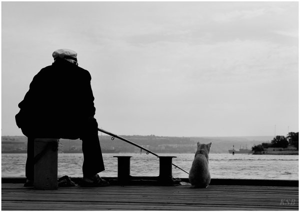 Старик и море