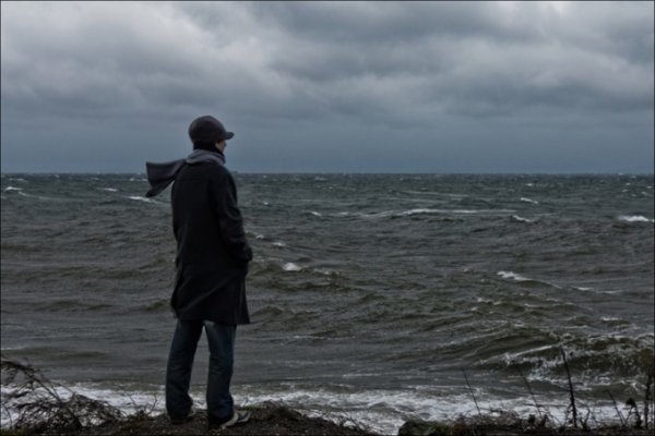 Золотая рыбка сказка Пушкина