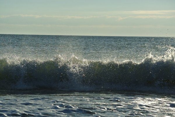 Блэк море черное море