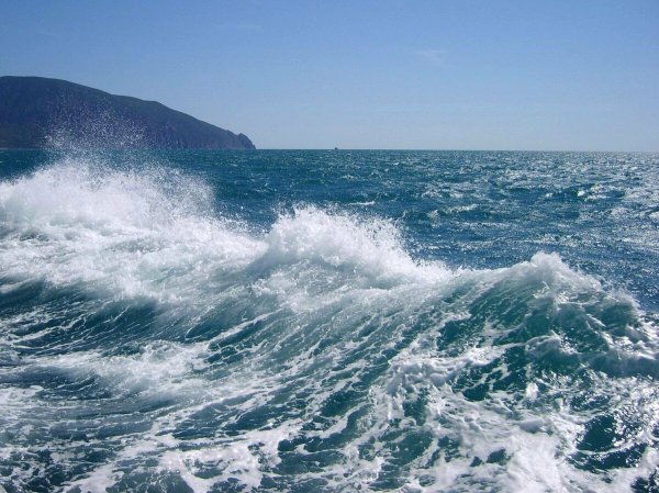 Черное море