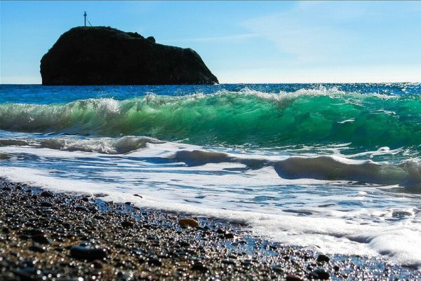 Нори черные