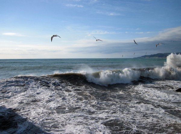 Черное море Сочи волны