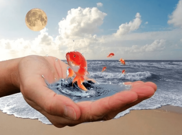 Золотая рыбка в руках