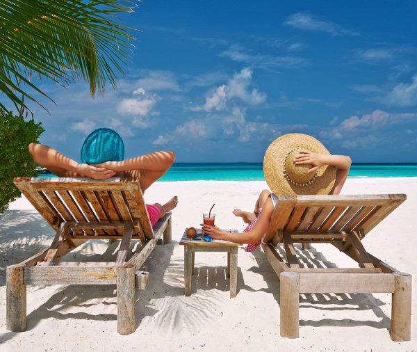 Шезлонг под пальмой