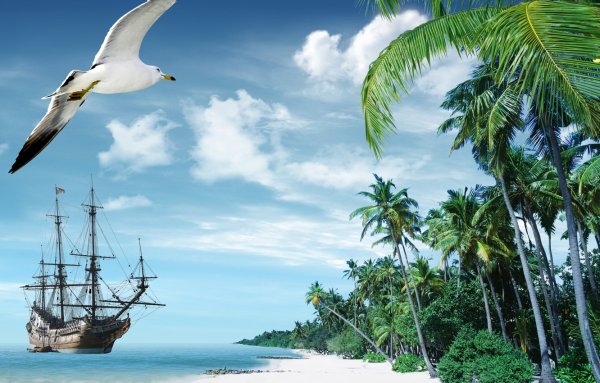 Чайки, корабль и море