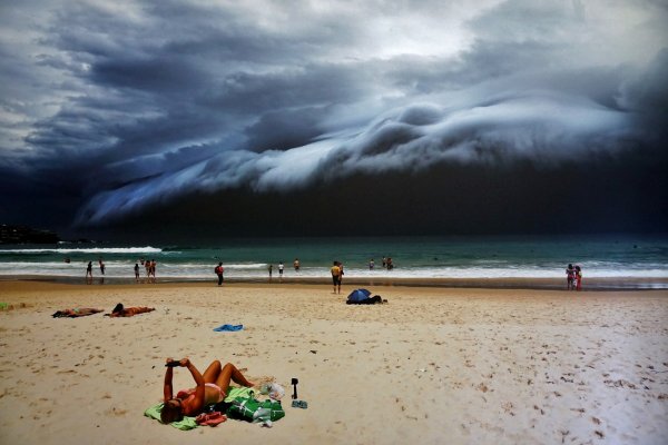 Пасть акулы МЕГАЛОДОН