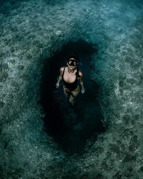 Чудовище под водой