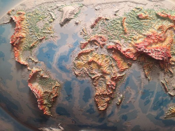 Животные по континентам для детей