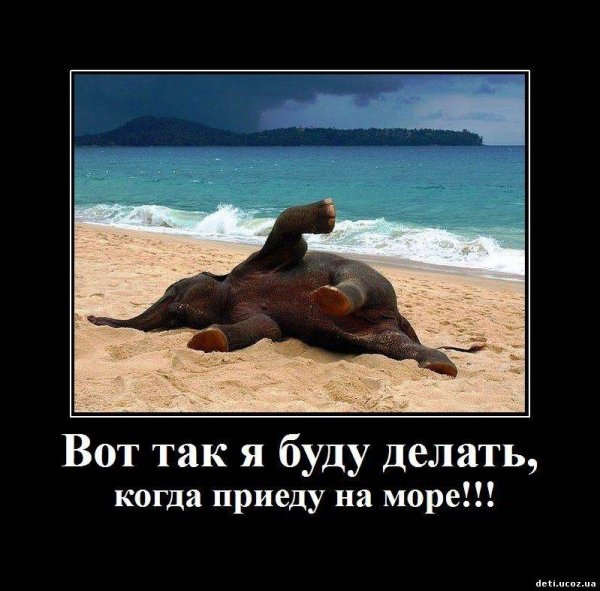 Чемодан на море