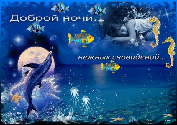 Красивых сновидений и доброй ночи
