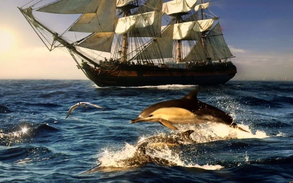 Пиратский корабль на рассвете