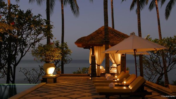 Боб Пежман картины