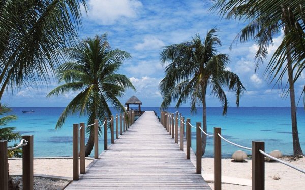 Девушка на берегу моря