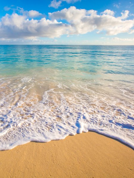 Фон острова с пальмами