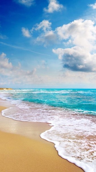 Фото океана и пляжа вертикально