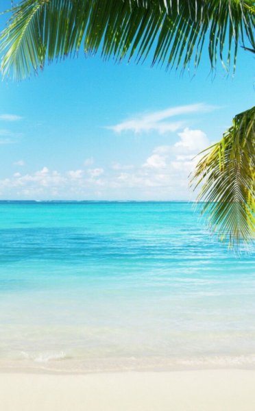 Вид на океан