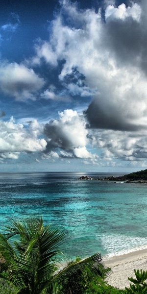 Летняя тематика