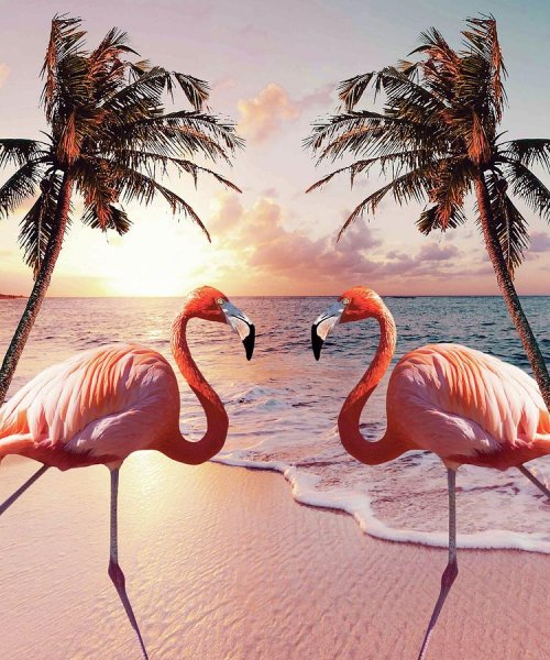 Фламинго и пальмы