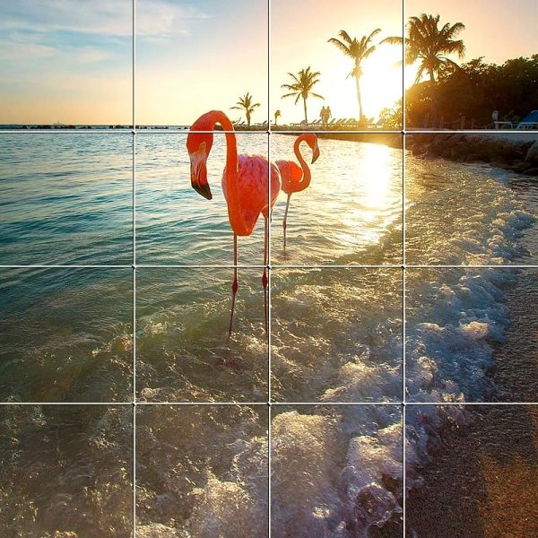 Розовый Фламинго на море