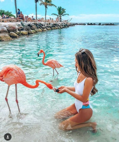 Куба Фламинго Кайо Кока