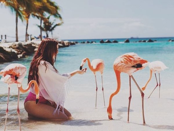 Кайо Коко Фламинго