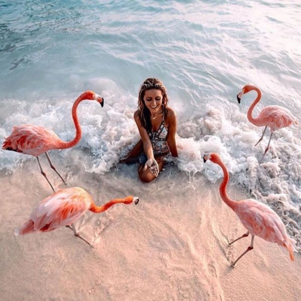 Пунта Кана Фламинго