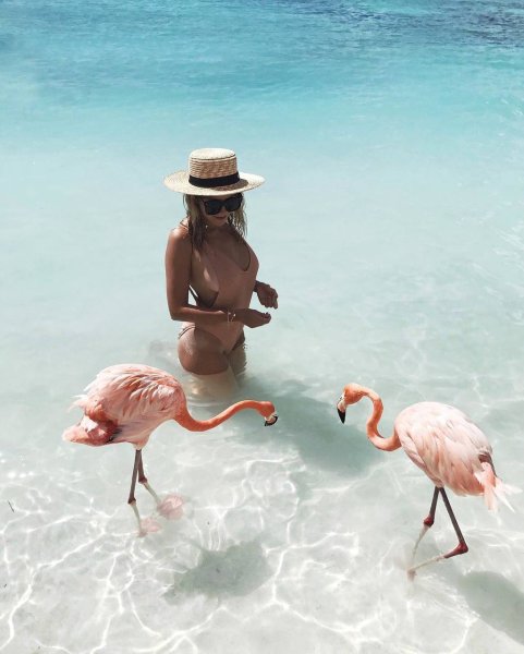 Кайо Гильермо Фламинго