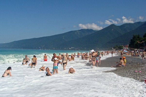 Магнолия Гагра пляж