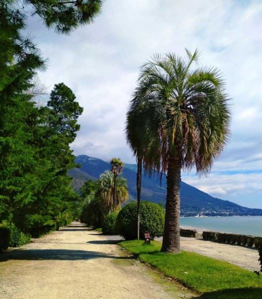 Новый Афон Абхазия пляж