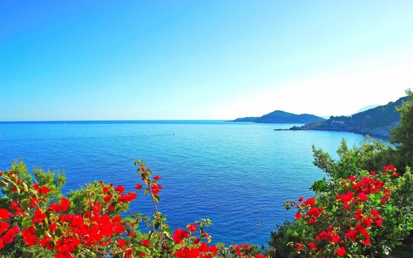 Болгария сарматское море пейзаж