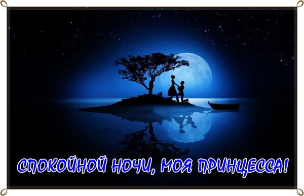 Влюбленные на фоне ночного неба