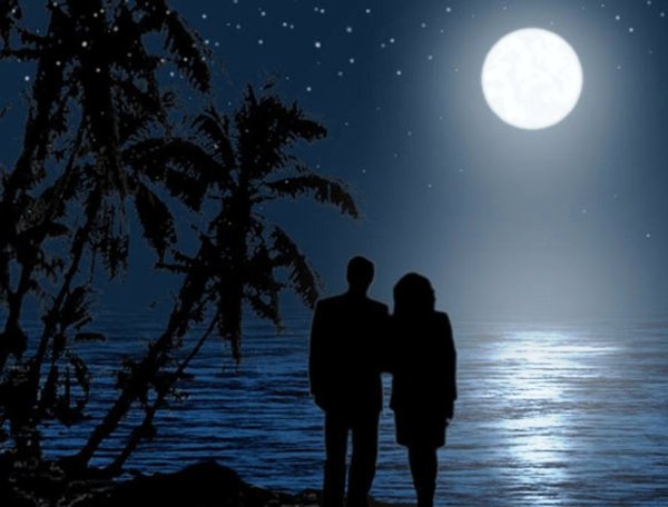 Доброй ночи любимая моя